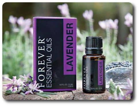 essential oils lavender